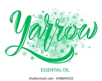 Ilustración vectorial de Yarrow Essential Oil texto para logotipo, embalaje, banner, etiqueta, afiche, decoración, postal. Fondo de caligrafía de aceite esencial de Yarrow. EPS 10.
