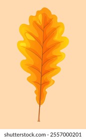 Vector illustration of a yellow acorn leaf. Oak leaf that fell in autumn