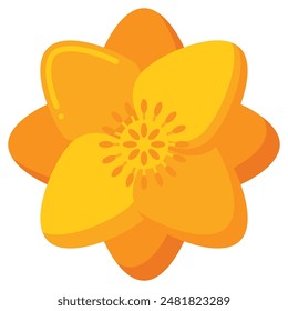 Ilustración vectorial de flores de albaricoque amarillo con pétalos y estambres detallados