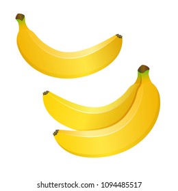 Vector illustration of yellow bananas isolated on white background. Realistic design for banners, leaflets, packages, website.