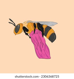 vector illustration of yellow bee on a pink purple flower good for kids clothes colouring book