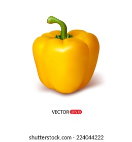 Vector illustration of yellow big fresh realistic pepper isolated on white background. Isolated realistic vector paprika. 