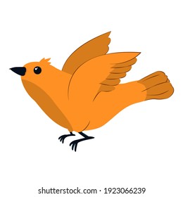 vector illustration of a yellow bird in a cartoon style. Isolate on a white background