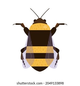 Vector illustration of a yellow and black bumblebee 