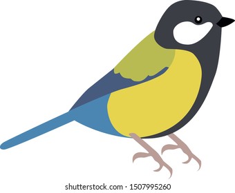 vector illustration of yellow and blue tit