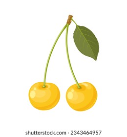 Vector illustration, yellow Cherry, isolated on white background.