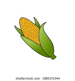 vector illustration of a yellow corn half peeled off by its husk.
