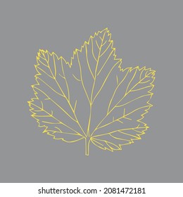 Ilustración vectorial de una hoja de curry amarilla aislada en un fondo gris