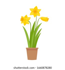Yellow Daffodil Cartoon Images Stock Photos Vectors Shutterstock