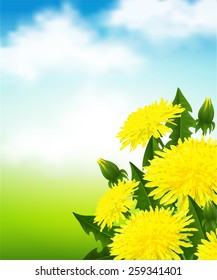 Vector illustration of a yellow dandelion flowers on blue sky background