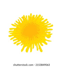 Vector illustration of yellow dandelion with green leaves