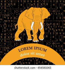 Vector illustration of the yellow elephant on black background with ancient latin letters. The template for the card, flyer, banner and other.