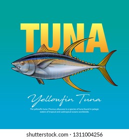 Vector illustration yellow fin tuna