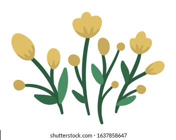 Vector illustration of yellow flower arrangements. Garden decorative plants bouquet. Collection of beautiful spring and summer herbs and flowers