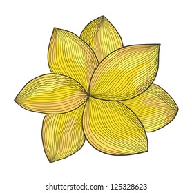 Vector illustration of a yellow flower. Ink pen and watercolor style.