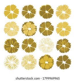 Vector illustration with yellow flowers 
