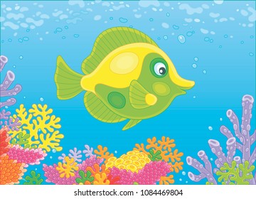 Vector illustration of a yellow and green butterfly fish swimming in blue water over colorful corals on a reef in a tropical sea
