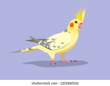 Vector illustration of yellow and grey cockatiel with a blue background