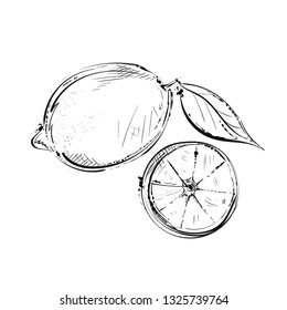 Vector illustration of yellow lemons
