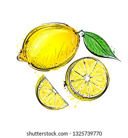Vector illustration of yellow lemons