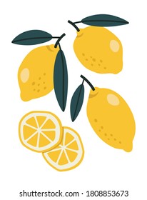 Vector illustration of yellow lemons and half of lemons. Hand drawn.