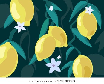 Ilustración vectorial con limones amarillos sobre un fondo de hojas verdes con flores blancas. Grandes limones amarillos brillantes en primer plano. Gráficos vectoriales para el fondo. Fondo para los sitios.