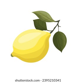 Vector illustration of yellow lemons on a branch. Vegetables, fruits, kitchen, cooking, eating, drinking tea, gardening designs.
