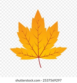 Vector illustration of yellow maple leaf on transparent background
