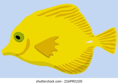 Vector illustration of yellow marine exotic fish. On light blue background.