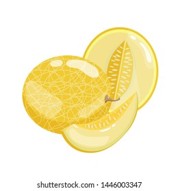 Vector illustration with yellow melon fruit whole, half and slice on white background