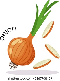 Vector illustration of a yellow onion with slices and an inscription in a flat style on a white background.