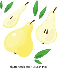 Vector illustration of a yellow pear. Sliced ​​pear with seeds and leaves. Fruits on a white background