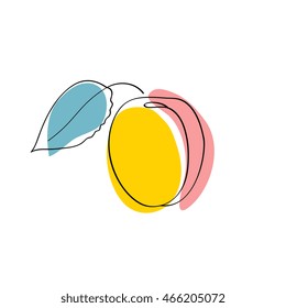 Vector illustration Yellow and pink apricot with leaf