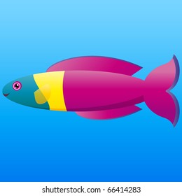 A vector illustration of a yellow, pink and aqua rainbow wrasse fish on blue background.