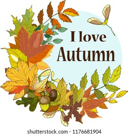vector illustration with yellow red green leaves, and acorns