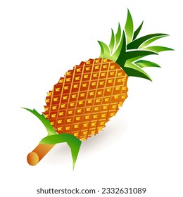 Vector illustration of the yellow ripe pineapple fruits