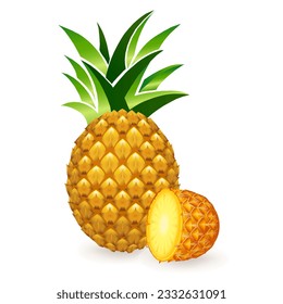 Vector illustration of the yellow ripe pineapple fruits