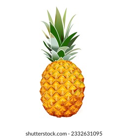 Vector illustration of the yellow ripe pineapple fruits