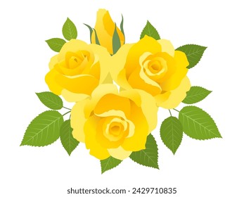 Vector illustration of yellow rose