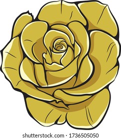 Vector illustration of yellow rose flower.