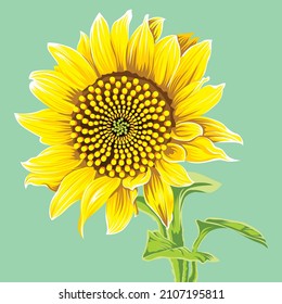 ilustración vectorial de un aislado de girasol amarillo con fondo verde de menta lisa que da un efecto tranquilo y feliz