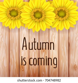Vector illustration of a yellow sunflowers on a brown wooden background. Ready objects, elements with autumn background for your flyer, banner, infographics, poster, advertisement, greeting card. 