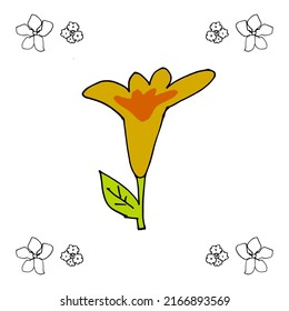 ilustración vectorial, flor de trompeta amarilla, estilo de diseño de dibujo a mano alzada.