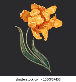 Vector illustration with yellow tulip. 
Realistic style. Han drawn illustration. Floral element for decoration, pattern, invitation, wallpaper, botanical flowers background.