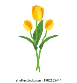 Vector illustration of yellow tulips. Set of three flowers with stem and leaves. Flat design. Isolated on white background 