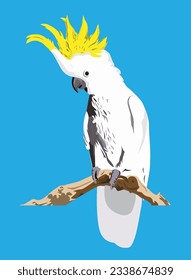 vector illustration of yellow-crested cockatoo on a tree branch