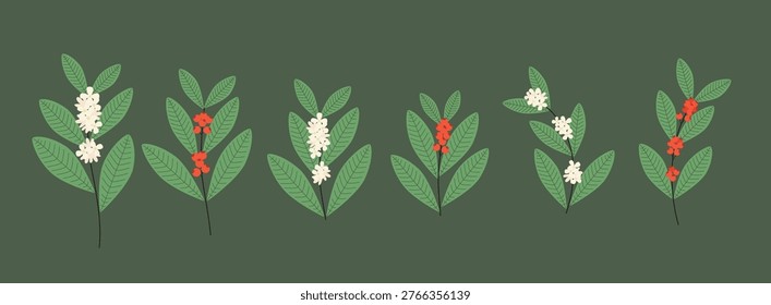 Vector illustration of yerba mate plant showcasing green leaves and vibrant red and white berries. Perfect for botanical designs or herbal tea branding.
