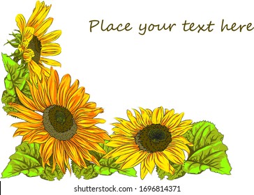 Vector illustration. You can use it as a postcard, slide or background. The composition of three sunflower occupies a corner of the card, there is space for inserting your text.