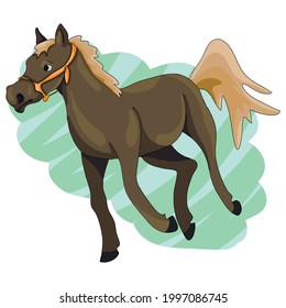 Vector illustration - young arabian running horse foal