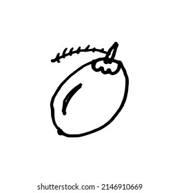 Vector illustration of a young coconut